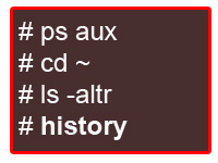 bash-command-line